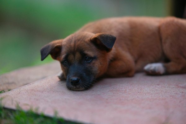 How Does the Evolution of UK Women's Fashion Reflect Changing Cultural Norms?